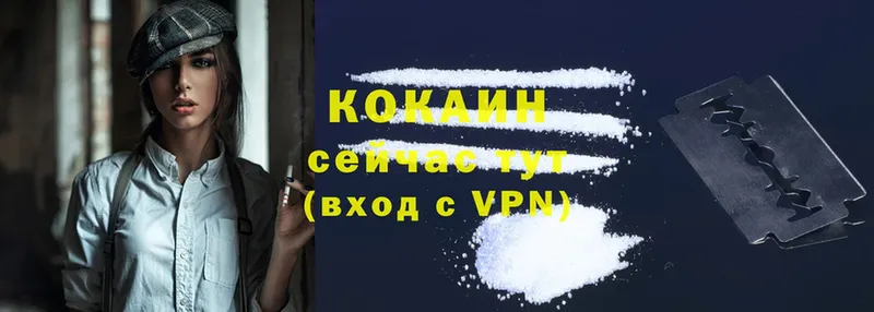 купить наркотики цена  Саров  Cocaine Fish Scale 